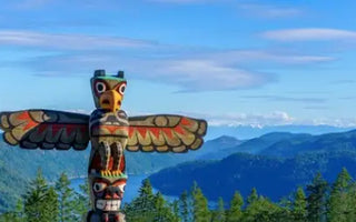 The Critical Need for AEDs in Indigenous Communities