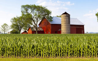 The Need for Agricultural and Industrial Workplace AED Programs in Canada
