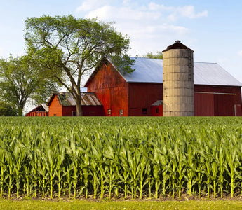 The Need for Agricultural and Industrial Workplace AED Programs in Canada