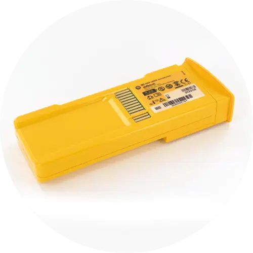 Lifeline Battery