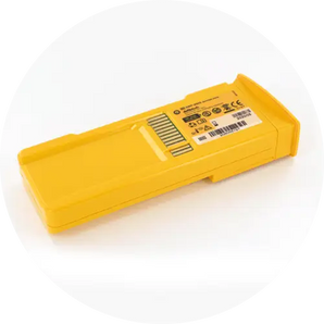 Lifeline Battery