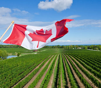 Lives Saved: AEDs Making the Difference Across Canada in 2025