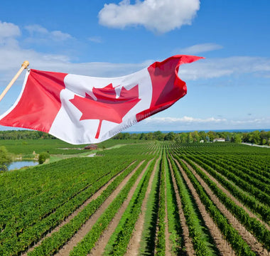 Lives Saved: AEDs Making the Difference Across Canada in 2025