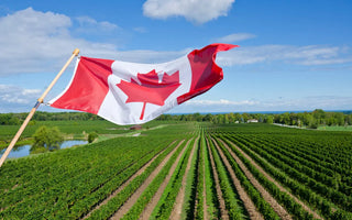 Why Every Canadian Location Needs an AED: A Life-Saving Investment